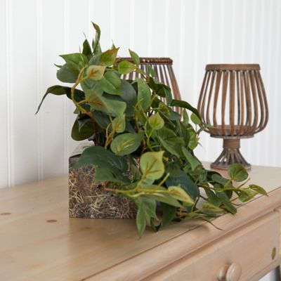 Image showing  31 in. Artificial Philodendron Ledge Plant