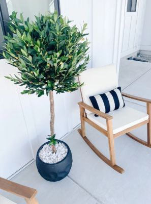 Image showing  5.5 ft. UV-Resistant Indoor/Outdoor Artificial Olive Topiary Tree