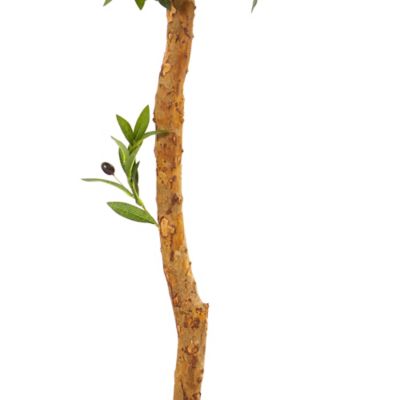 Image showing  5.5 ft. UV-Resistant Indoor/Outdoor Artificial Olive Topiary Tree