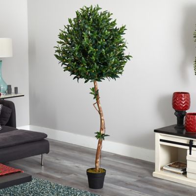 Image showing  5.5 ft. UV-Resistant Indoor/Outdoor Artificial Olive Topiary Tree