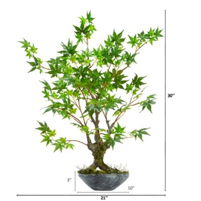 Image showing  30 in. Artificial Maple Bonsai Tree in Planter