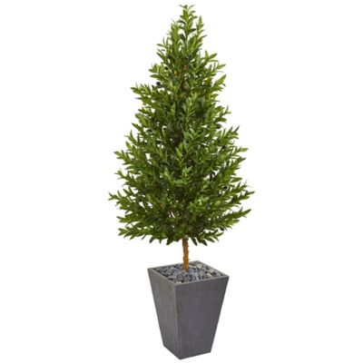 Nearly Natural 67 in. UV-Resistant Indoor/Outdoor Olive Cone Topiary Artificial Tree in Slate Planter