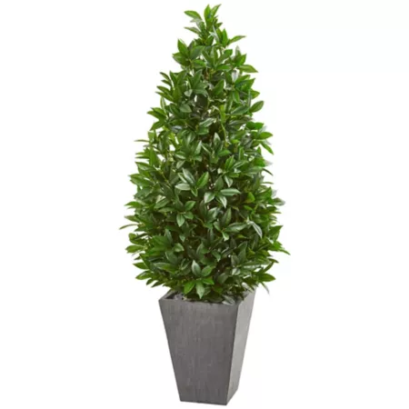 57" Almost Natural Indoor/Outdoor UV Resistant Laurel Leaf Cone Topiary Tree in Slate Pot Artificial Plants & Flowers