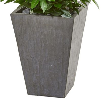 Image showing  57 in. UV-Resistant Indoor/Outdoor Bay Leaf Cone Topiary Tree in Slate Planter