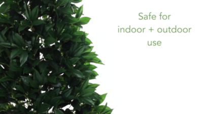 Image showing  57 in. UV-Resistant Indoor/Outdoor Bay Leaf Cone Topiary Tree in Slate Planter