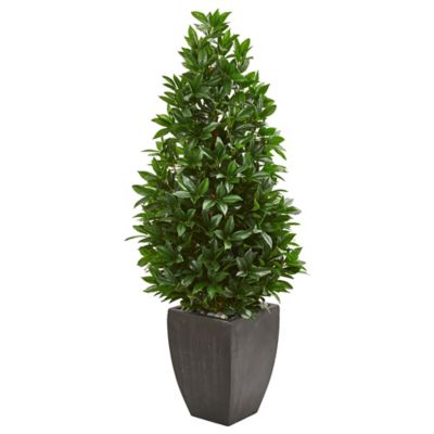 Nearly Natural 56 in. UV-Resistant Indoor/Outdoor Bay Leaf Cone Topiary Artificial Tree in Black Planter