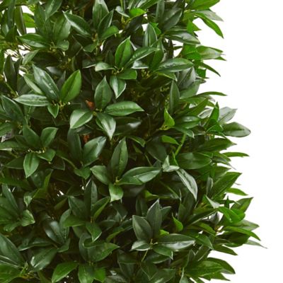 Image showing  56 in. UV-Resistant Indoor/Outdoor Bay Leaf Cone Topiary Artificial Tree in Black Planter