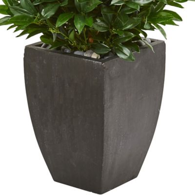 Image showing  56 in. UV-Resistant Indoor/Outdoor Bay Leaf Cone Topiary Artificial Tree in Black Planter