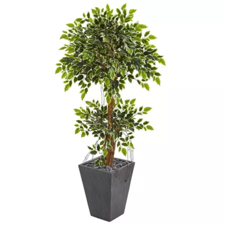 5 ft Almost Natural Variegated Artificial Ficus in Slate Pot Artificial Plants & Flowers