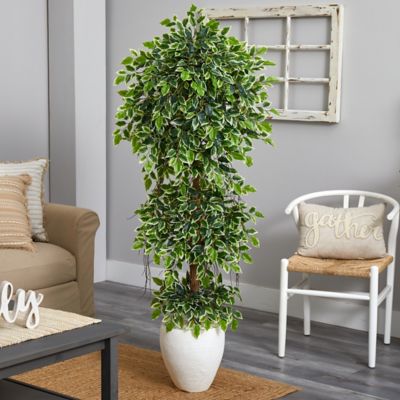 Image showing  5.5 ft. Elegant Artificial Ficus Tree in White Planter