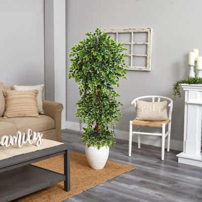 Image showing  5.5 ft. Elegant Artificial Ficus Tree in White Planter