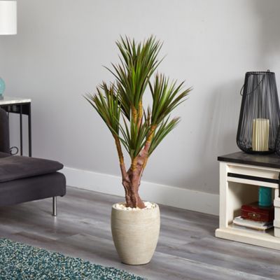 Image showing  50 in. UV-Resistant Indoor/Outdoor Artificial Yucca Tree in Planter