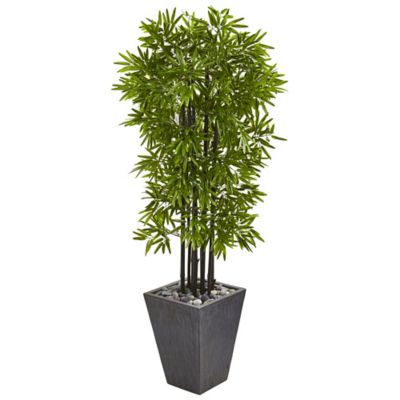 Nearly Natural 61 in. UV-Resistant Indoor/Outdoor Artificial Bamboo Tree with Black Trunks in Slate Planter