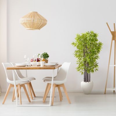 Image showing  5 ft. UV-Resistant Indoor/Outdoor Artificial Bamboo Tree with Black Trunks in White Planter