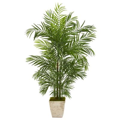Nearly Natural 63 in. UV-Resistant Indoor/Outdoor Artificial Areca Palm Tree in Country White Planter