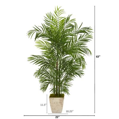 Image showing 1 th Nearly Natural 63 in. UV-Resistant Indoor/Outdoor Artificial Areca Palm Tree in Country White Planter