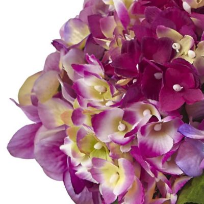 Image showing  14.5 in. Beauty Hydrangea with Large Vase