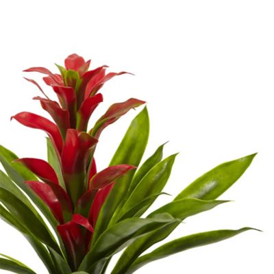 Image showing 2 th Nearly Natural 15 in. Red Bromeliad Artificial Flower Set, 4 pc.