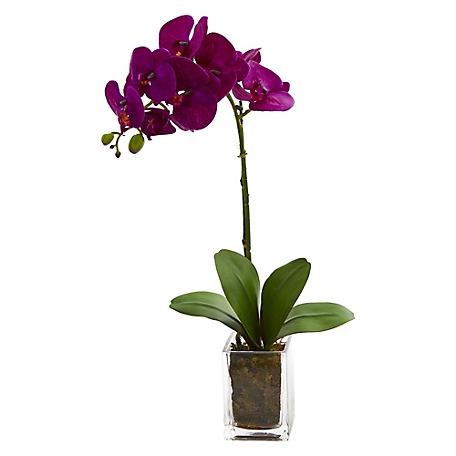 Nearly Natural 24 in. Mauve Orchid Phalaenopsis Artificial Arrangement in Vase