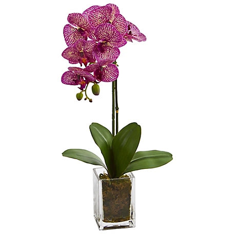 Nearly Natural 24 in. Purple/Cream Orchid Phalaenopsis Artificial Arrangement in Vase