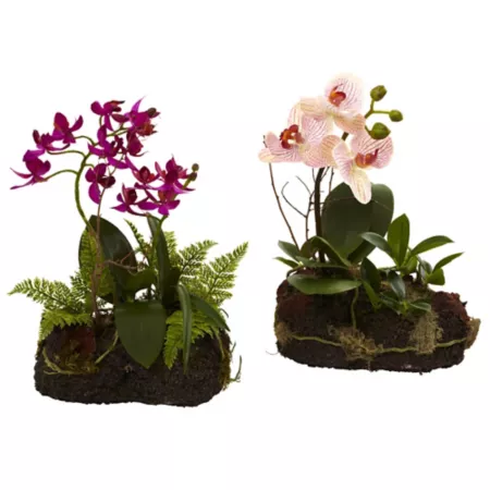 Nearly Natural 10 in Orchid Island Silk Plant Set 2 Piece. Artificial Plants & Flowers