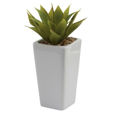 Image showing  9 in. White Mini Agave Plant in Planter Set, 3 pc.