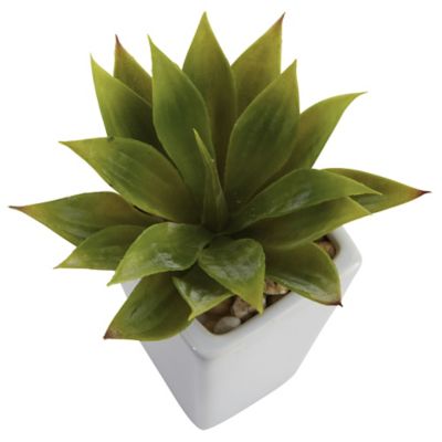Image showing  9 in. White Mini Agave Plant in Planter Set, 3 pc.
