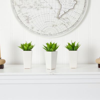 Image showing  9 in. White Mini Agave Plant in Planter Set, 3 pc.