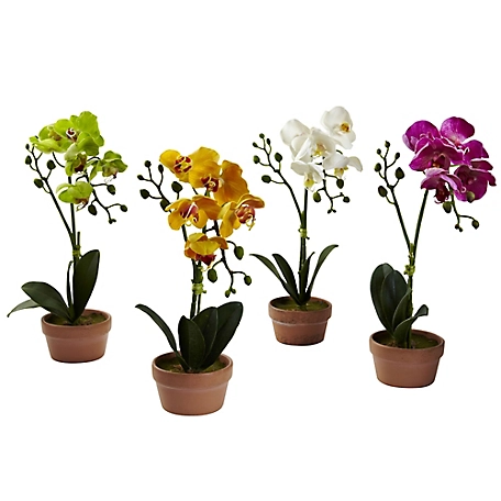 Nearly Natural 13 in. Phalaenopsis Orchid with Clay Vase Set, 4 pc.