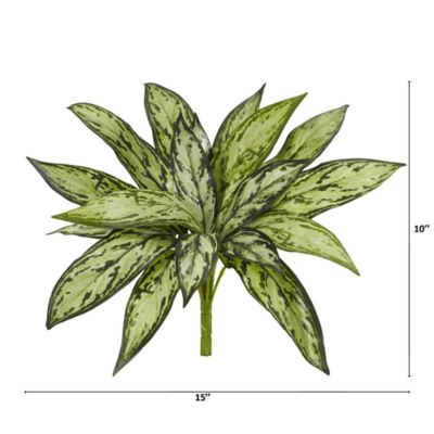 Image showing  10 in. Variegated Silver Queen Artificial Plant Set, 6 pc.