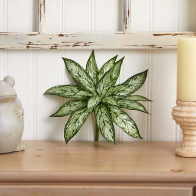 Image showing  10 in. Variegated Silver Queen Artificial Plant Set, 6 pc.