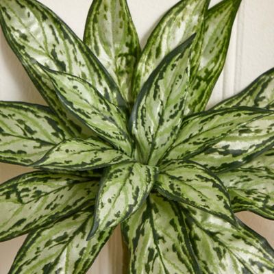 Image showing  10 in. Variegated Silver Queen Artificial Plant Set, 6 pc.