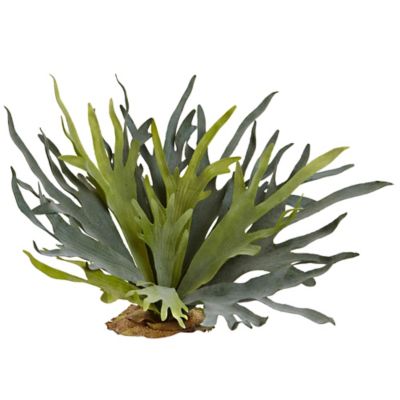 Nearly Natural 21 in. Staghorn Fern Set, 2 pc.