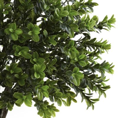 Image showing  23 in. Indoor/Outdoor Sweet Grass Bush Set, 2 pc.