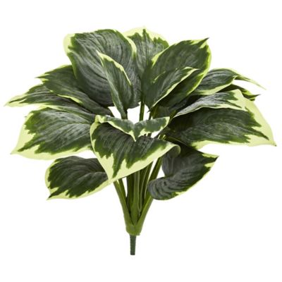 Image showing  23 in. Variegated Hosta Artificial Plant Set, 6 pc.