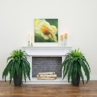 Image showing  35 in. Boston Fern Artificial Plant Set, 2 pc.