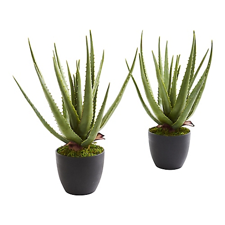Nearly Natural 18 in. Aloe Artificial Plant Set, 2 pc.