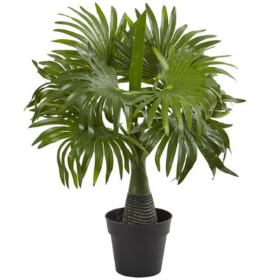 Image showing  Artificial Areca, Fountain and Banana Palm Tree Set, 3 pc.