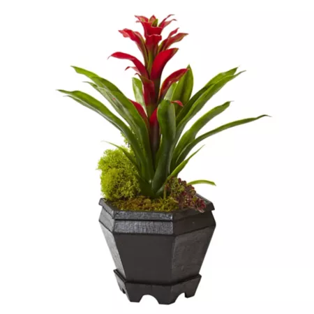 Nearly Natural 16.5 in Red Bromeliad Silk Flower Arrangement in Black Hexagonal Planter Artificial Plants & Flowers