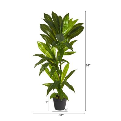 Image showing  3 ft. Real Touch Artificial Dracaena Plant