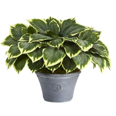 Nearly Natural 23 in. Variegated Hosta Artificial Plant in Gray Planter