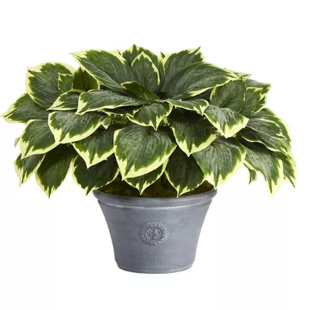 Nearly Natural 23" Variegated Artificial Hosta Plant in Gray Pot Artificial Plants & Flowers