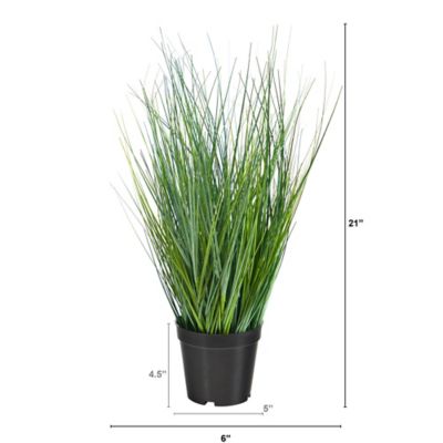 Image showing  21 in. Onion Grass Artificial Plant