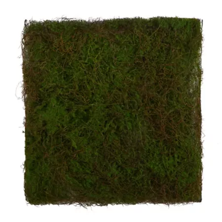 Nearly Natural Artificial Moss Mat 20-in x 20-in Artificial Plants & Flowers