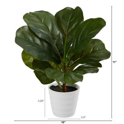 Image showing  11 in. Real Touch Artificial Fiddle Leaf Plant in White Planter