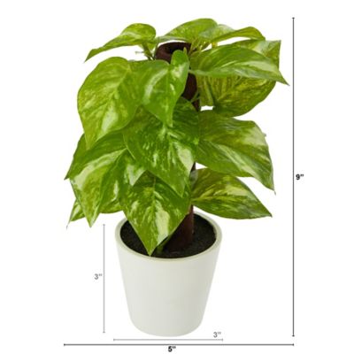 Image showing  9 in. Real Touch Pothos Artificial Plant in White Planter