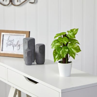 Image showing  9 in. Real Touch Pothos Artificial Plant in White Planter