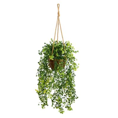 Nearly Natural 20 in. Baby Tear Artificial Plant in Hanging Basket