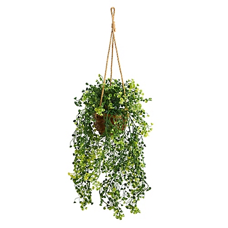 Nearly Natural 20 in. Baby Tear Artificial Plant in Hanging Basket