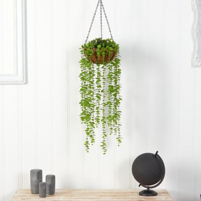 Image showing  3 ft. Artificial Eucalyptus Plant in Hanging Basket